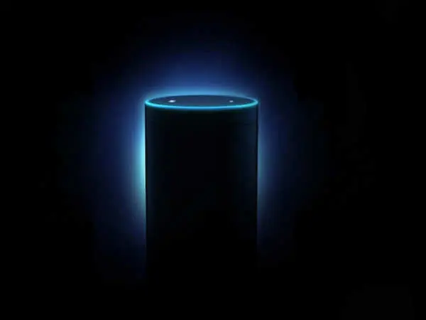 The Echo is a search by voice device by Amazon